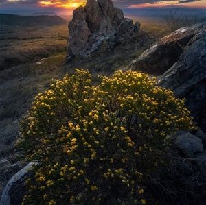 Meet your Posher, Mam